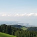 Blick vom Gupf (ausserhalb vom Wald, etwas neben dem höchsten Punkt) Richtung Bodensee mit Romanshorn und so ;-)