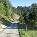 Abstieg von der Alp Ober Stock zur Tierfäderenegg.