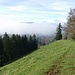 Rückblick, knapp aus dem Nebel Hüttchopf (re) und Brandegg