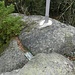 Auf dem Schild, das neben dem Gipfelkreuz am Boden liegt, heißt es "Hohe Mätze", aber auch "Metze" liest man bisweilen.