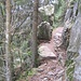 Sentier des Roches