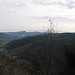 Blick ins Tal von Munster