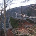 Aussichtsplattform in der Nähe des Col de la Schlucht