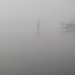 Die Pegasus-Statue im See bei Le Pont ist im dichten Nebel fast nicht sichtbar