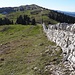 Der Trockenmauer entlang hoch zum Mont Tendre, dem höchsten Schweizer Jura-Berg 