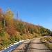 Bunte Herbstfarben beim Anstieg zum Schönkahler.