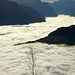Nebelmeer über dem Urner- und Vierwaldstättersee
