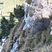 Hier gilt es abzuklettern, am Felsen auf der rechten Seite ist ein Fixseil angebracht (hinter dem toten Tännchen).