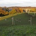 Wildgehege am Galgenbühl