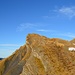 Das Lauberhorn von der Lauberhornschulter. Links hinten der Männlichen.