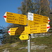 in den Monti di Motti tritt der Sassariente auch erstmals auf den Wegweisern auf