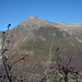 von hier schöner Blick auf den Pizzo di Vogorno ...