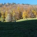 Indian Summer im Niederurner Tal