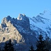 einer der berühmtesten der vielen Grossen Berner um Grindelwald