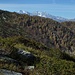 L'alta valle del Rio Margologio con i quattromila del Sempione a fare da sfondo