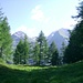 ... si entra in una verde valletta dopo la quale si prosegue a mezzacosta sino a raggiungere l´ Alpe Garzora...