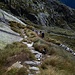 Le piode del rifugio