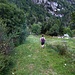 Verso il fondovalle
