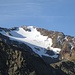 Orecchia di Lepre