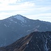Orecchia di Lepre
