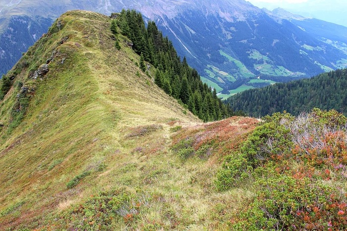 unten an der Einsattelung habe ich den schönen Grat... [hikr.org]