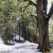 Winter trifft Herbst ...