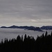 Auf dem Weg zur Hochsalwand: endlich über dem Talnebel