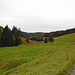 kurz nach dem Start in [http://de.wikipedia.org/wiki/Todtnau Todtnau-Muggenbrunn], Muggenbrunn selber liegt auf über 950m