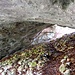 Lengenfelshöhle IV