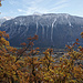 Herbstfarben und Winterboten