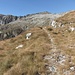schönstes Wandergelände und im Winter ein beliebtes SKT-Gelände; der Monte Bruffione ist ein sehr belieber Skiberg!