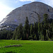Half Dome south face behind the grown-in Lost Lake. Snake Dike starts on the very left and climbs more or less the profileline. 