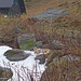 Ein Schneefleck - juhuuuuu - kurz vor der Wildalmhütte