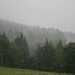 Gewitterregen im Bayerischen Wald