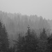 Gewitterregen im Bayerischen Wald