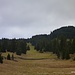 Bei Pré de Denens. 