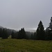 Combe au Cerf.