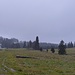 L'Eglantier. 
