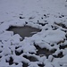 Sumpf in beginnender Winterstarre.