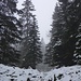 Auf dem Weg zum Grand Cunay.