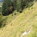 unterwegs auf den Thaurer Mähder
