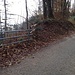 Die Gratstrasse, 60 Schritte südlich des Aussichtplatzes: Hier zweigt ein Weglein links ab, das der Krete folgt und zum markierten Baum (siehe vorletztes Bild) führt.