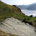 Blick über Brächen zum Nebelmeer über dem Urnersee