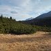 In the far background are the tops of Murań, Novy Wierch and Havrań. The three tops are already in Slovakia and are part of the White Tatras