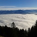 Das Rheintal im dichten Nebel, der sich dann aber langsam lichtet