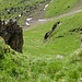 View down from Türli on the grassy hill "route" where I hiked up (45 degrees steep)