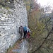 uno dei muri a secco della cava di Moltrasio