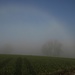 Ein schwach sichtbarer Halo-Bogen im Nebel<br /><br />Un`alone debolemente visibile nella nebbia