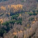 Herbstwälder