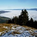 Ausblick von der Fäneren auf das Nebelmeer im Rheintal - dahinter die Berge des Brengenzer Waldes